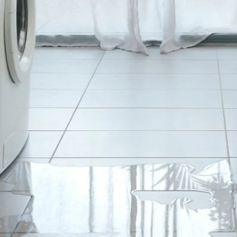 Appliance Leak Cleanup in Adams, WI