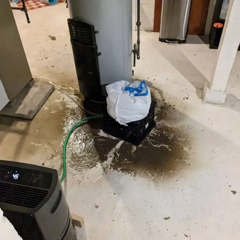 Sewage Backup Cleanup Service in Adams, WI